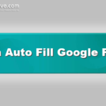 Cara Auto Fill Google Form