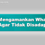 Cara Mengamankan Whatsapp Agar Tidak Disadap