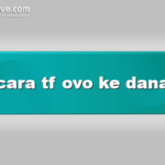cara tf ovo ke dana